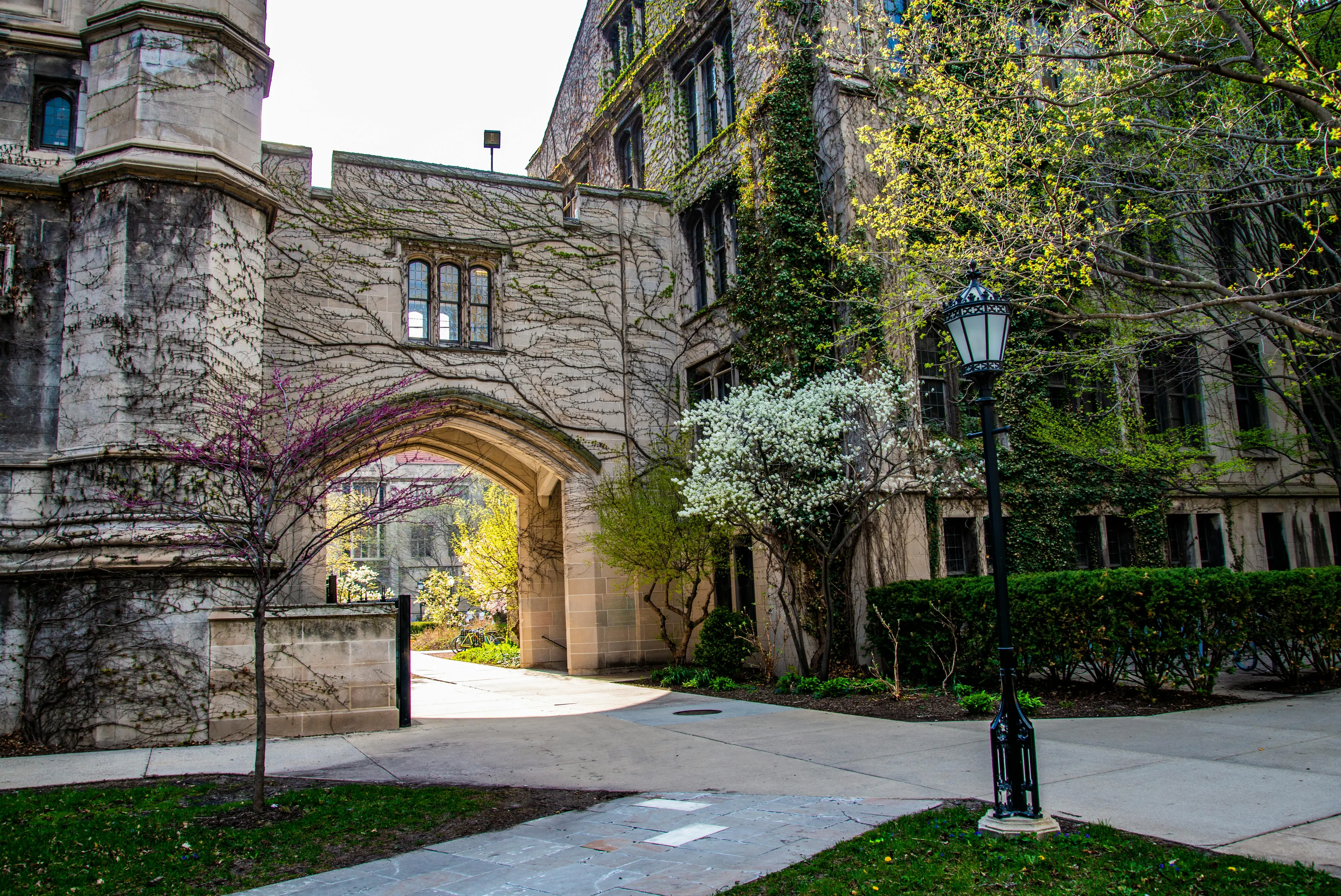 Law quad